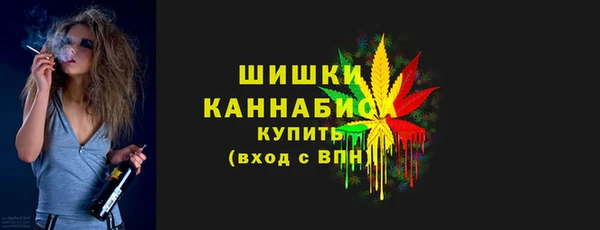 индика Вязники